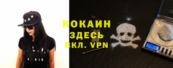 дмт Аркадак