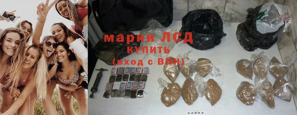 СК Арсеньев
