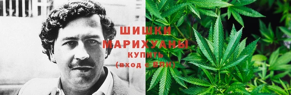 дмт Аркадак
